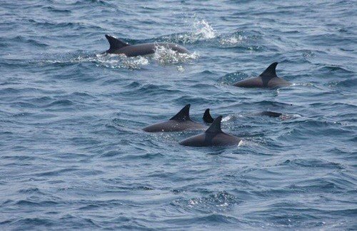 사진= 울산누리 트위터