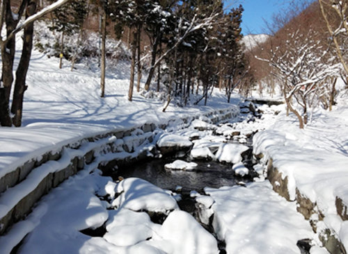 국립 회문산자연휴양림은 겨울산행과 숲속 휴식을 즐길 수 있는 겨울철 최적의 휴양림이다.