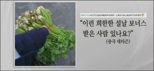 중국 설날 보너스(출처=YTN 영상 갈무리)