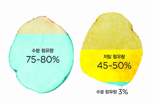 감자(왼쪽)는 수분 함유량이 80%에 달하지만 뜨거운 기름에 들어가는 순간 수분이 대부분 증발하고 3%만 남는다. 수분이 빠져나간자리는 모세관 현상에 의해 기름으로 채워져 감자는 고열량 감자칩(오른쪽)으로 재탄생한다.