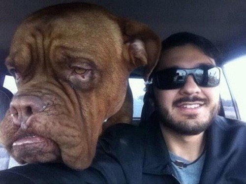 출처= 커뮤니티 게시판