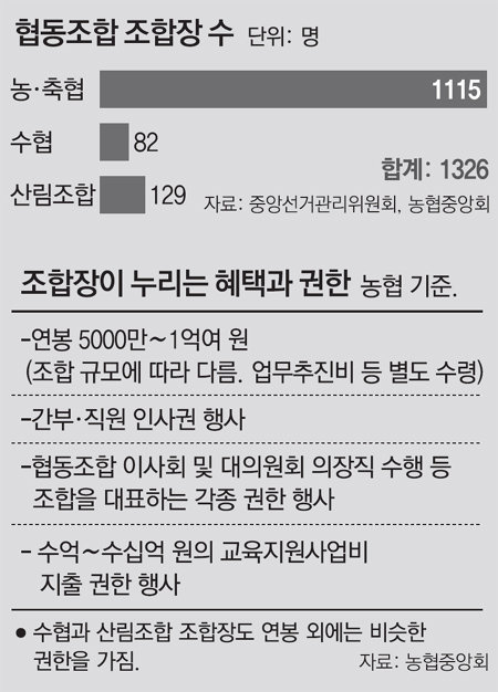 막오른 3·11 전국동시선거