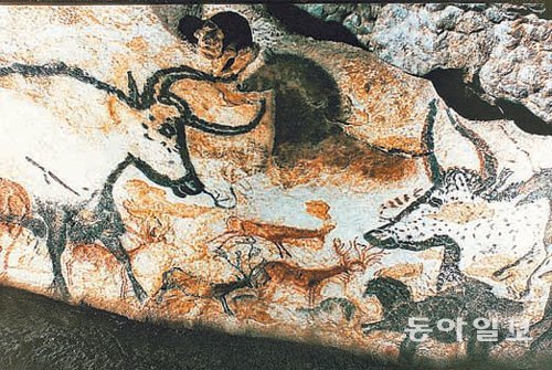프랑스 라스코 동굴벽화는 총 100여 점으로 말 소 노루 코뿔소 등 동물 그림으로 이뤄졌다. 동아일보DB