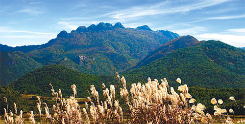 고흥군 팔영산은 피톤치드 성분을 내뿜는 아름드리 편백나무가 국내에서 손꼽힐 정도로 많지만 비교적 덜 알려진 곳이다.고흥군 제공