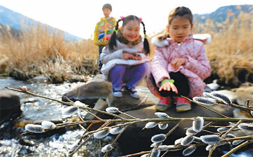 주말 버스가 증회된 광주 충효동 무등산 계곡(출처=동아일보DB)
