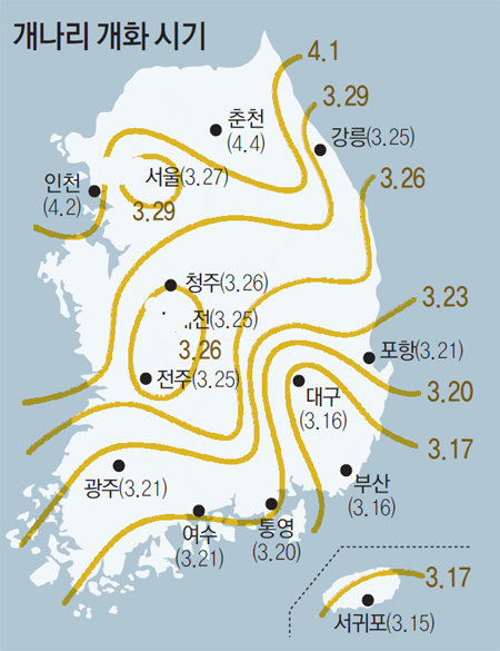 봄꽃 올해는 언제 피나