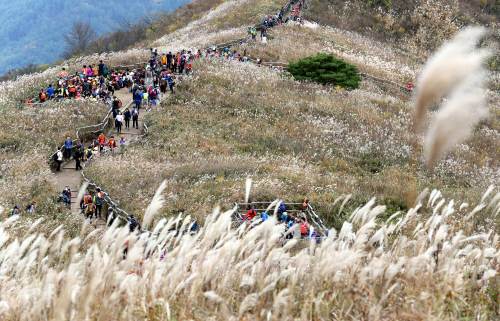 한국인이 좋아하는 취미 1위