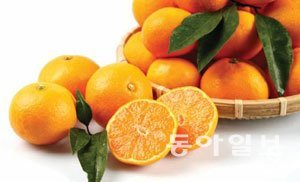 사진 = 동아일보 DB