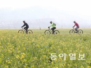 동아일보 자료 사진.