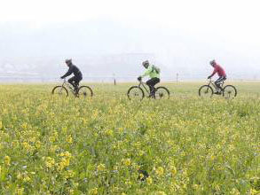 동아일보 자료 사진.