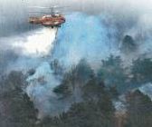 사진=동아일보 DB