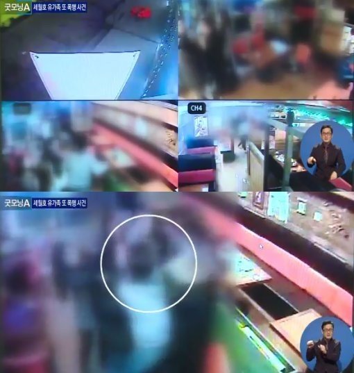 세월호 유가족 또 폭행(사진=채널A)