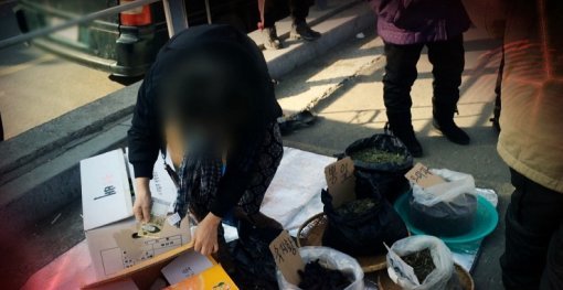 사진=채널A 제공