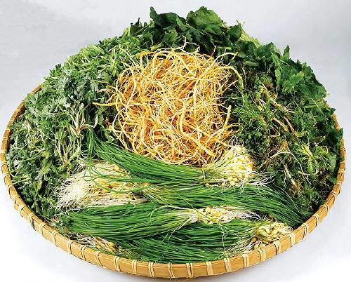 사진=동아일보DB