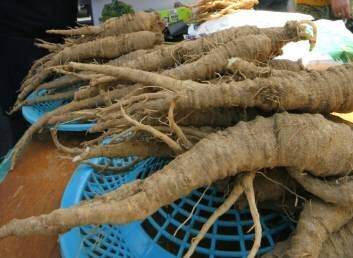 사진=동아일보 DB