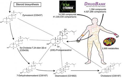 전통 한의학에 사용되는 화합물들과 시판되고 있는 약물들을 인체 내 대사산물들의 구조와 비교했다.