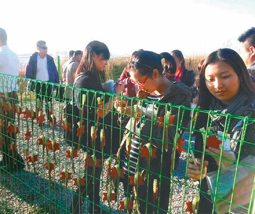 中관광객 ‘사랑의 비녀’ 걸기 지난달 중순 중국 허난 성에 온 관광객들이 인천 송도석산을 찾아 사랑의 비녀 걸기를 하고 있다. 인천도시공사 제공