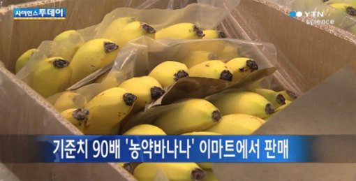 농약 바나나. YTN 방송화면 캡처