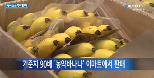 농약 바나나(출처= YTN 방송화면 갈무리)