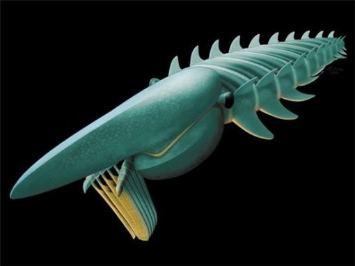 5억 년 전 바다 생명체 복원. 사진=사이언스