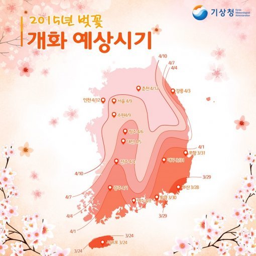 벚꽃 개화 시기. 사진=기상청