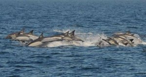 해당 기사와 관계없는 자료사진/동아DB