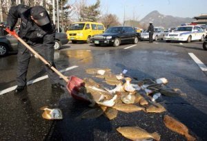 기사와 관계없는 자료사진/동아DB