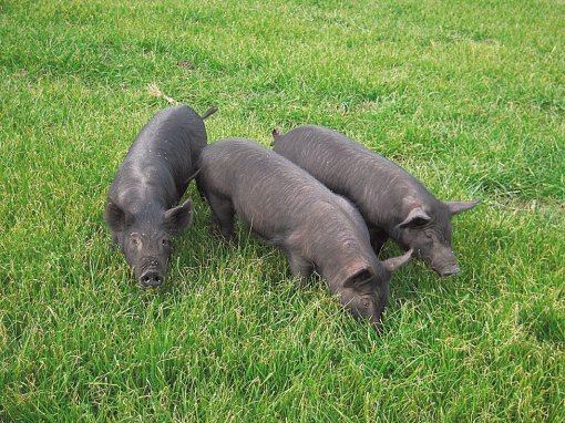 사진=문화재청 제공