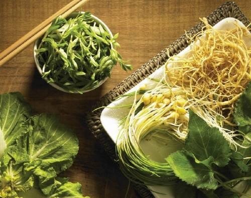 봄나물 식중독 위험. 사진 = 동아DB