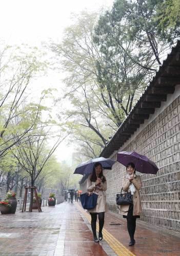 전국에 봄비. 사진=동아일보DB