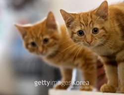 사진=ⓒGettyimages멀티비츠(사진은 기사와 무관함)