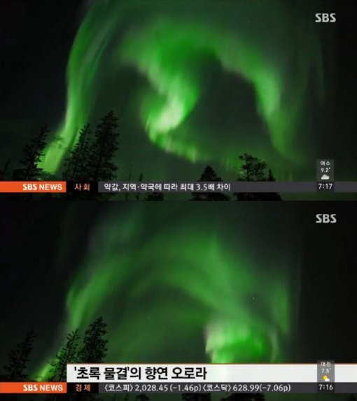 사진=SBS 뉴스 방송화면 캡쳐