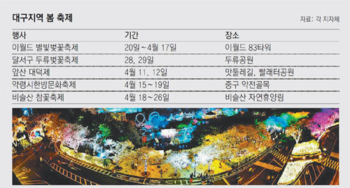 지난해 대구 달서구 이월드 벚꽃축제장에 마련된 야간 경관 조명이 색다른 분위기를 보여주고 있다. 이월드 제공