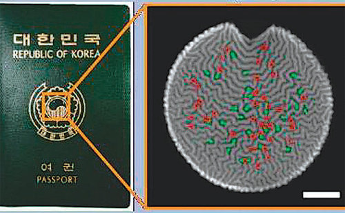 사람의 지문처럼 복제가 불가능한 인공 미세지문(오른쪽 사진). 여권에 부착해 위조 방지 성능을 확인하는 데 성공했다. 서울대 제공