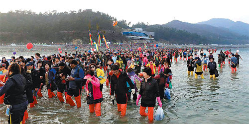 20일부터 4일간 전남 진도군 고군면 일대에서 열린 ‘신비의 바닷길 축제’에 61만 명의 국내외 관광객이 몰렸다. 세월호 참사로 지역경제에 직격탄을 맞은 진도군은 이번 축제와 전국도민체전을 재도약의 계기로 삼고 있다. 진도군 제공