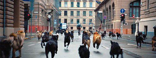 영화 ‘화이트 갓’에서 리스트의 ‘헝가리 광시곡’을 배경으로 개들이 부다페스트 거리를 뛰어다니는 모습은 가장 인상적인 장면으로 꼽힌다. 나이너스엔터테인먼트 제공