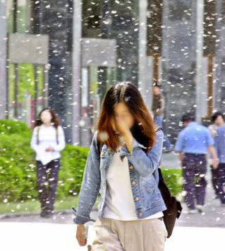 꽃가루 위험예보. 사진=동아일보 DB