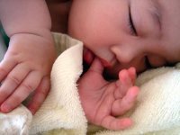 해당 기사와 관계없는 자료사진/동아DB