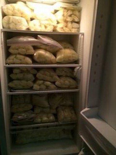 쌓여있는 모유.