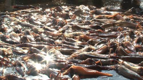 해당 기사와 관계없는 자료사진/동아db