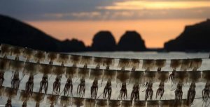 해당 기사와 관계없는 자료사진/동아db