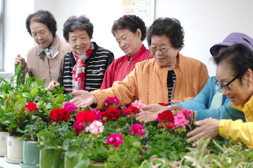 서울 서대문구 북아현동 주민센터는 최근 심각해진 노인 고독 문제 해결책으로 ‘반려식물’ 나눠주기 행사를 시작했다. 31일 반려식물 전달식에 참여한 할머니들이 스파티필룸, 호야, 자금우, 제라늄 등 식물을 만져보면서 기뻐하고 있다. 서대문구 제공