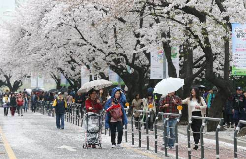 사진=동아일보 DB