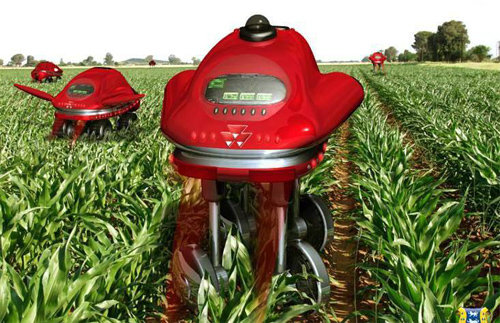 농사용 제초로봇. 농림축산식품부 제공