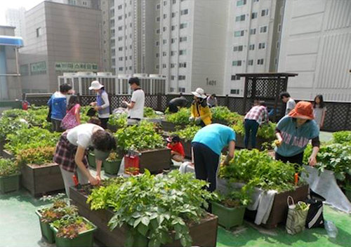 서울 영등포구 문래청소년수련관의 옥상텃밭에서 주민들이 채소를 가꾸고 있다. 서울시는 집 근처에서 쉽게 농사를 지을 수 있도록 2018년까지 도심텃밭 1800곳을 만들 계획이다. 서울시 제공