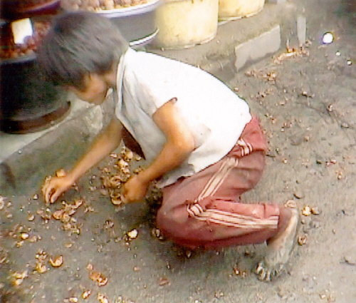 사진=동아일보 DB