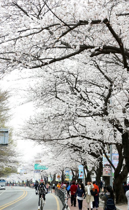 여의도 경유 버스 막차 연장. 사진=동아일보 db