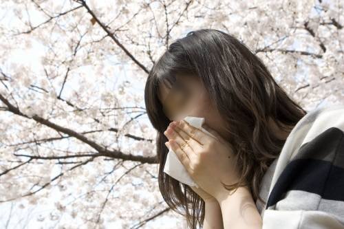 꽃가루 제일 많은 시간. 사진 = 동아DB