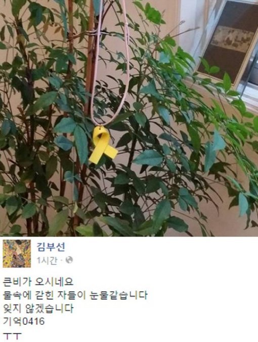 노란리본 김부선. 사진=김부선 페이스북
