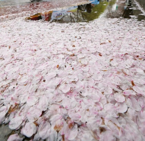 여의도 교통통제 해제. 사진=동아일보 DB